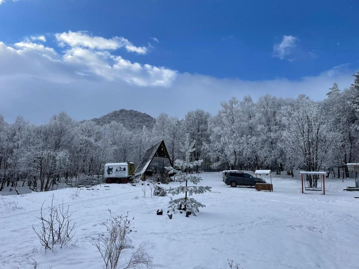 Vila Glamping Wolf Mount Margahovit Exteriér fotografie